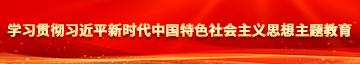 添逼吃阴啼视频学习贯彻习近平新时代中国特色社会主义思想主题教育